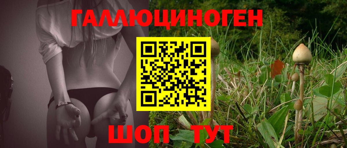 Дубна  Псилоцибиновые грибы прущие грибы  Галлюциногенные грибы GOLDEN TEACHER  Вход с VPN 